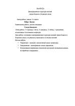 Referāts 'Ilūkstes pilsētas un Ilūkstes novada iedzīvotāju demogrāfiskā struktūra', 3.