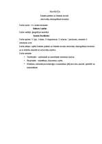 Referāts 'Ilūkstes pilsētas un Ilūkstes novada iedzīvotāju demogrāfiskā struktūra', 4.