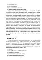 Referāts 'Automašīnu apkopes, tūninga un remonta nozare', 5.