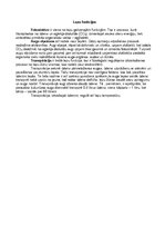 Konspekts 'Augu lapas un to daudzveidība', 5.