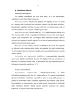 Referāts 'Augu augšana', 9.