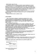 Referāts 'Gāzbetona sienas', 7.