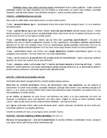 Konspekts 'Piemērojamā likuma noteikšana', 10.