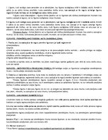 Konspekts 'Piemērojamā likuma noteikšana', 11.