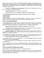 Konspekts 'Piemērojamā likuma noteikšana', 19.