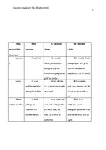 Prakses atskaite 'Pirmsskolas pedagoģiskā procesa organizācija un vadība', 7.