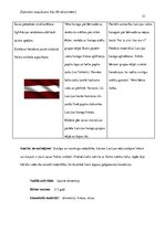 Prakses atskaite 'Pirmsskolas pedagoģiskā procesa organizācija un vadība', 21.