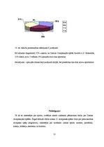 Referāts 'Ziemas Olimpiskās spēles', 25.