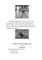 Referāts 'Sitiens ar kāju pa bumbu futbolā', 6.