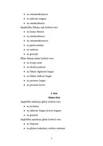 Referāts 'Sitiens ar kāju pa bumbu futbolā', 7.