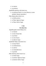 Referāts 'Sitiens ar kāju pa bumbu futbolā', 8.