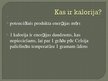Prezentācija 'Kalorijas', 2.