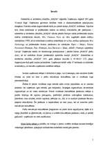 Prakses atskaite 'Lietišķas sarunas stratēģija', 2.