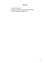 Prakses atskaite 'Lietišķas sarunas stratēģija', 11.