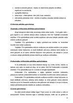 Referāts 'Apdrošināšana. AAS "Balta"', 22.