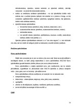 Referāts 'Apdrošināšana. AAS "Balta"', 26.