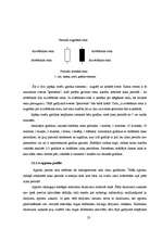 Referāts 'Forex tirgus analīze', 23.