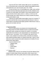 Diplomdarbs 'Upju kruīza attīstības iespējas Latvijā', 11.