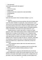 Diplomdarbs 'Upju kruīza attīstības iespējas Latvijā', 13.