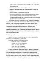 Diplomdarbs 'Upju kruīza attīstības iespējas Latvijā', 18.