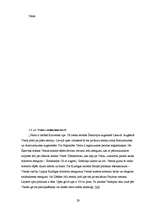 Diplomdarbs 'Upju kruīza attīstības iespējas Latvijā', 29.