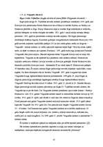 Diplomdarbs 'Upju kruīza attīstības iespējas Latvijā', 45.