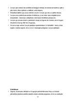 Diplomdarbs 'Upju kruīza attīstības iespējas Latvijā', 57.