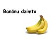 Prezentācija 'Banānu dzimta', 1.