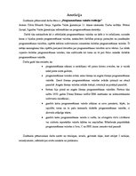 Referāts 'Programmēšanas valodu evolūcija', 3.