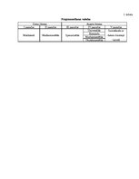 Referāts 'Programmēšanas valodu evolūcija', 26.