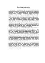 Eseja 'Dubultā grāmatvedība', 1.