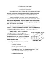 Referāts 'Vieglbetona bloku sienas', 3.