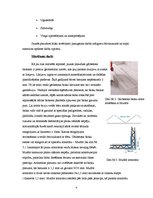 Referāts 'Vieglbetona bloku sienas', 4.