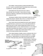 Referāts 'Vieglbetona bloku sienas', 7.