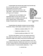 Referāts 'Vieglbetona bloku sienas', 9.