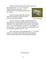 Referāts 'Vieglbetona bloku sienas', 10.