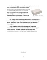 Referāts 'Vieglbetona bloku sienas', 11.