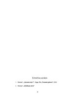 Referāts 'Vieglbetona bloku sienas', 13.