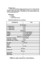 Referāts 'Viesu nama dokumentācija', 5.