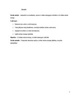 Referāts 'Redzes atmiņa', 3.