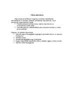 Konspekts 'Dabas resursi', 4.