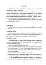 Referāts 'Bezdarbs', 4.