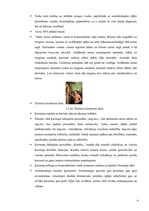 Referāts 'SPA viesnīcu piedāvājums Latvijā', 6.