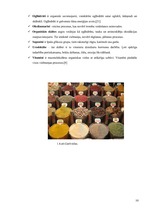 Referāts 'SPA viesnīcu piedāvājums Latvijā', 10.