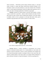 Referāts 'SPA viesnīcu piedāvājums Latvijā', 14.