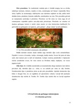 Referāts 'SPA viesnīcu piedāvājums Latvijā', 15.