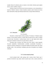 Referāts 'SPA viesnīcu piedāvājums Latvijā', 18.