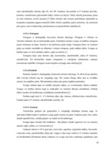 Referāts 'SPA viesnīcu piedāvājums Latvijā', 20.