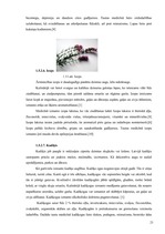 Referāts 'SPA viesnīcu piedāvājums Latvijā', 21.