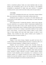 Referāts 'SPA viesnīcu piedāvājums Latvijā', 22.